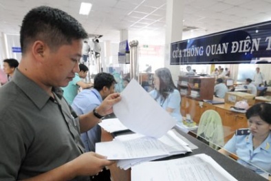 Triển khai cung cấp miễn phí phần mềm khai hải quan cho doanh nghiệp