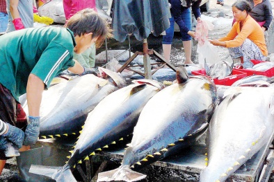 Trung Đông là thị trường hấp dẫn cho xuất khẩu cá ngừ của doanh nghiệp Việt