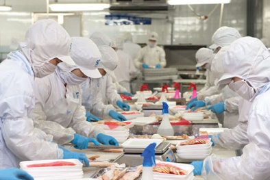 Quy định ‘kiểm dịch’ thủy sản nhập khẩu dùng làm thực phẩm gây nhiều ách tắc 