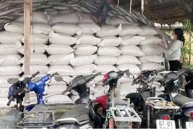 An Giang: Thu giữ 17 tấn nhân lạc không rõ nguồn gốc xuất xứ