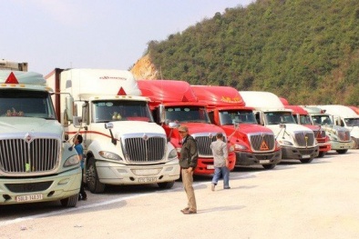 Hàng nghìn container nông sản mắc kẹt tại các cửa khẩu phía Bắc