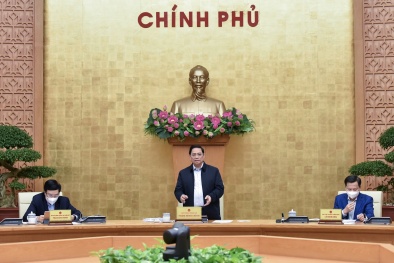 Phấn đấu đạt mức cao nhất các mục tiêu, chỉ tiêu đã đề ra của năm 2021