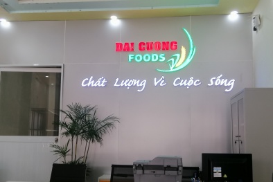 Triển khai HTQL tích hợp, Công ty Đại Cường vượt khó khăn, thu được nhiều kết quả