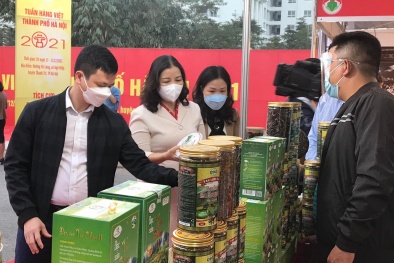 Tuần hàng Việt tại huyện Thanh Trì: Kích cầu tiêu dùng, xúc tiến thương mại thị trường nông thôn