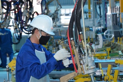 Quảng Nam: Đưa năng suất, chất lượng trở thành động lực phát triển