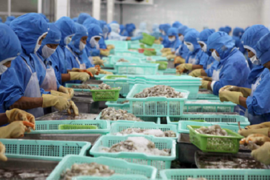 Việt Nam nhập khẩu thủy sản vào thị trường Nga tăng mạnh