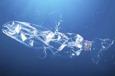 Nguy cơ từ hạt vi nhựa trong thực phẩm tiêu thụ hàng ngày