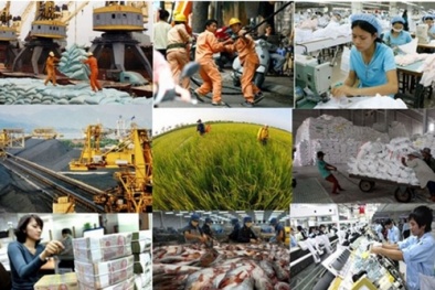 Tái cấu trúc nền kinh tế: Tăng sức cạnh tranh dựa trên khoa học công nghệ và đổi mới sáng tạo 