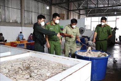 Đồng Nai: Phát hiện 10 tấn nội tạng heo không rõ nguồn gốc xuất xứ