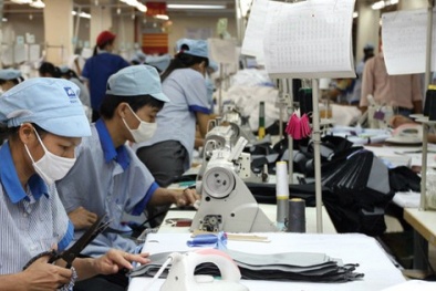 Bài toán phụ thuộc vào nguyên phụ liệu nhập khẩu mãi chưa có lời giải?