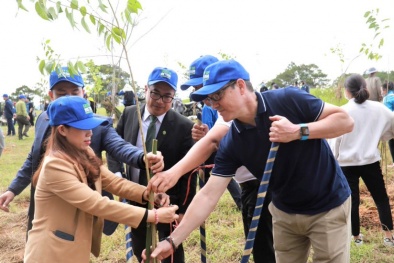 Kinh tế xanh sẽ là tiền đề để phát triển bền vững