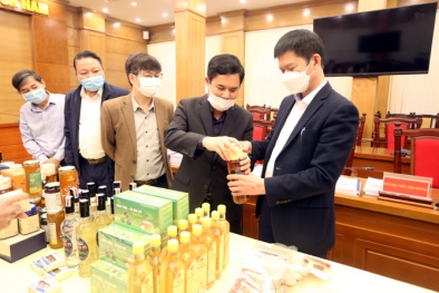 Vĩnh Phúc: Công nhận 21 sản phẩm OCOP, 8 sản phẩm công nghiệp nông thôn tiêu biểu