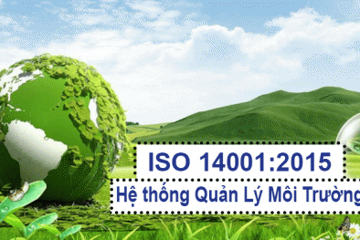 Công ty Hưng Gia Kiệt: Xây dựng, áp dụng thành công HTQL môi trường theo ISO 14001:2015