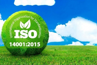 Công ty TNHH MTV Fu Wing 77: Thực hiện hiệu quả việc áp dụng ISO 14001:2015