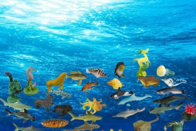 Quy chuẩn kỹ thuật quốc gia về giống động vật thân mềm