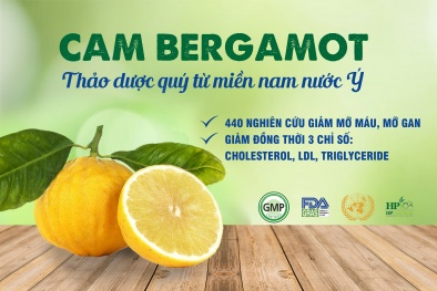 Đột phá mới giúp đẩy lùi bệnh mỡ máu cao từ chiết xuất Cam Địa Trung Hải