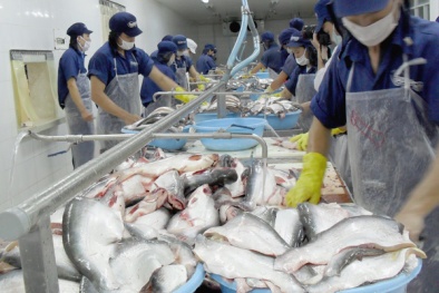 Quy chuẩn kỹ thuật quốc gia về giống cá nước ngọt - Phần 2: Cá ba sa