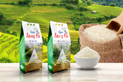Sản phẩm gạo Séng Cù được bảo hộ Chỉ dẫn địa lý 'Mường Khương – Bát Xát'