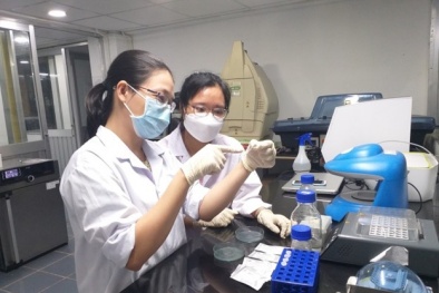 Chế tạo thành công cảm biến phát hiện bất thường ở thai nhi