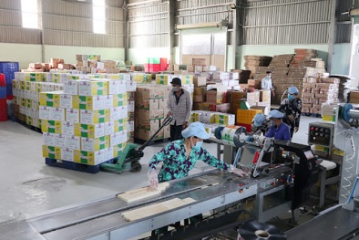 Doanh nghiệp thận trọng sản xuất hàng dịp Tết