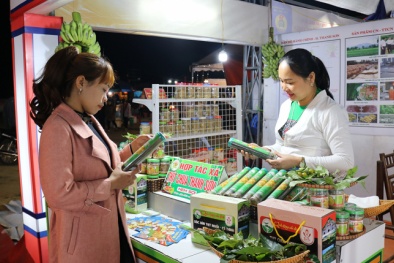 Phú Thọ: Hỗ trợ phát triển tài sản trí tuệ, nâng cao sức cạnh tranh hàng hóa