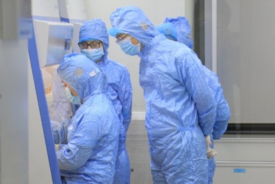 Vaccine phòng dịch tả lợn châu Phi 'made in Vietnam' đã sẵn sàng ra thị trường