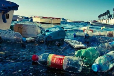 Chủ động quản lý rác thải nhựa đại dương, hướng tới phát triển thủy sản bền vững