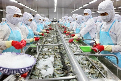 Dự báo năm 2021 xuất khẩu thủy sản cán đích trên 8,8 tỷ USD