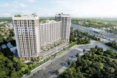 Thuduc House bị truy thu gần 100 tỷ đồng tiền thuế