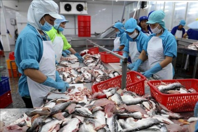 EVFTA đã tạo những ấn tượng về phát triển thương mại và đầu tư trong bối cảnh dịch bệnh