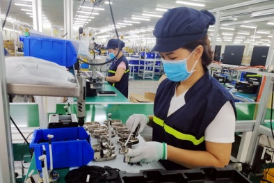 Bạc Liêu: Năng suất trở thành động lực phát triển của các ngành, lĩnh vực