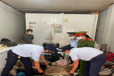 Đồng Tháp: Phát hiện gần 400 kg thực phẩm đông lạnh không rõ nguồn gốc