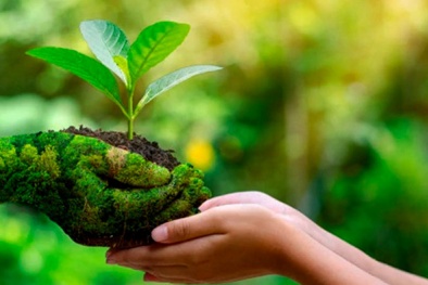 Áp dụng ISO 14001 tại Công ty TNHH may Phú Sinh