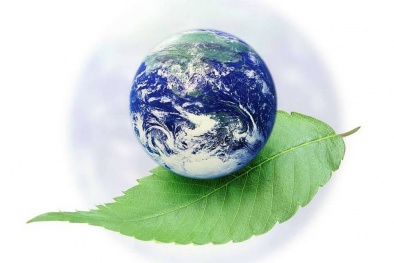 Doanh nghiệp chuyển mình nhờ áp dụng tiêu chuẩn ISO 14001-2015