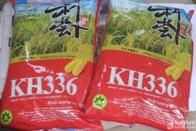 Xử phạt cơ sở kinh doanh 2 tấn lúa giống chưa được cấp phép, vi phạm nhãn mác đóng gói