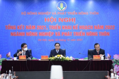 Vượt Covid ngoạn mục, ngành nông nghiệp lập nhiều kỷ lục mới