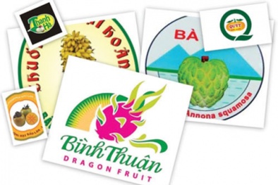 Phối hợp hỗ trợ bảo hộ nhãn hiệu, chỉ dẫn địa lý nâng cao vị thế sản phẩm Việt tại thị trường quốc tế