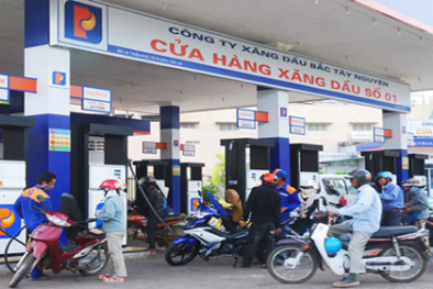 Đủ điều kiện kinh doanh xuất, nhập khẩu xăng dầu bắt buộc có tối thiểu 10 cửa hàng bán lẻ