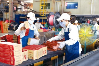 Cần thêm gói hỗ trợ kích thích phát triển kinh tế trong năm 2022 