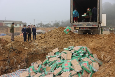 14 tấn lưỡi bò không đảm bảo an toàn thực phẩm, nguy cơ gây hại sức khỏe bị tiêu hủy