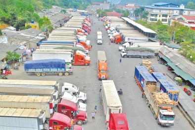 Hướng đi vững chắc giúp doanh nghiệp thoát cảnh ùn ứ nông sản tại cửa khẩu