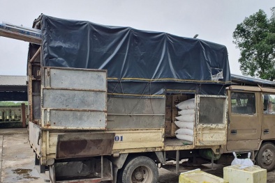 Quảng Trị: Bắt xe tải chở 200 kg sản phẩm động vật không rõ nguồn gốc