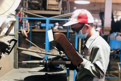 Thị trường lao động từng bước phục hồi