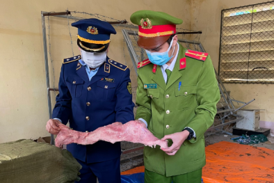 Xử lý trên 5.000 sản phẩm thuốc lá điện tử và 500 kg nầm lợn không rõ nguồn gốc