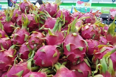 Xuất khẩu thanh long: Mở rộng thị trường, chuyển hướng đi đường biển