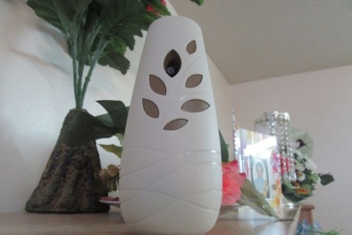 Những đồ dùng gia dụng nếu dùng sai cách sẽ có nguy cơ trở nên độc hại