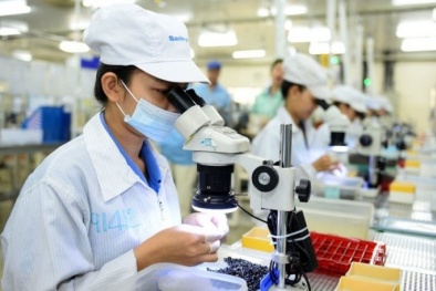 Thúc đẩy phát triển mô hình doanh nghiệp khởi nguồn