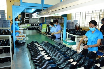 Tiêu chuẩn hóa ngành dệt may - da giày
