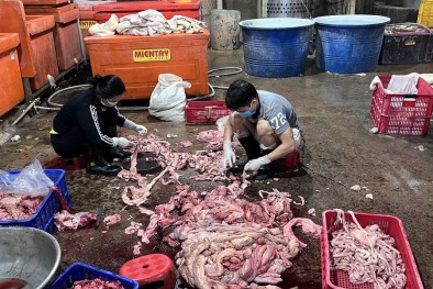 Đồng Nai: Phát hiện gần 1,3 tấn nội tạng trâu, bò ngâm hóa chất