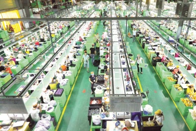 Giải pháp phục hồi và phát triển thị trường lao động tại Việt Nam 